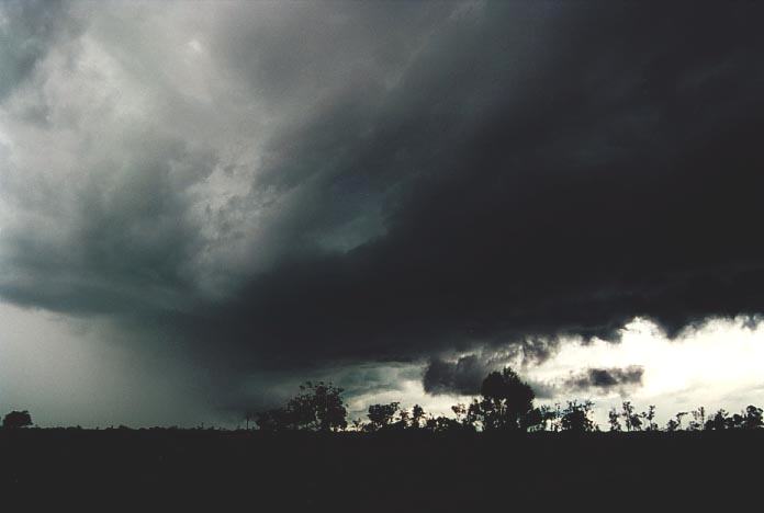 cumulonimbus thunderstorm_base : near Taroom, Qld   21 November 2000