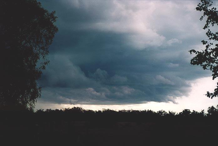 cumulonimbus thunderstorm_base : Banana, Qld   21 November 2000