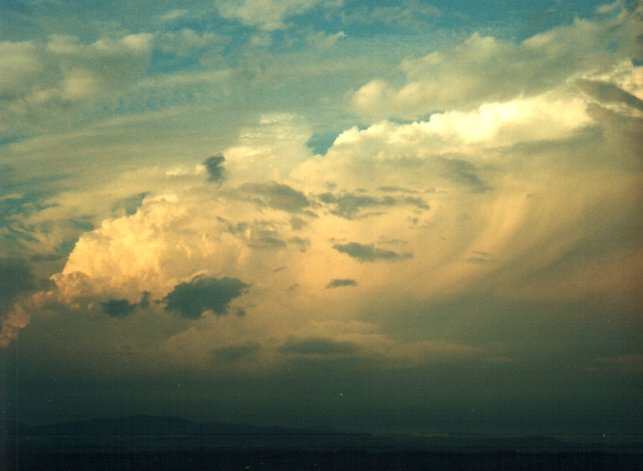 thunderstorm cumulonimbus_incus : McLeans Ridges, NSW   1 December 2000