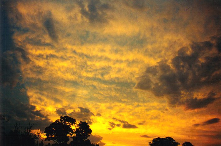 altocumulus altocumulus_cloud : McLeans Ridges, NSW   8 December 2000