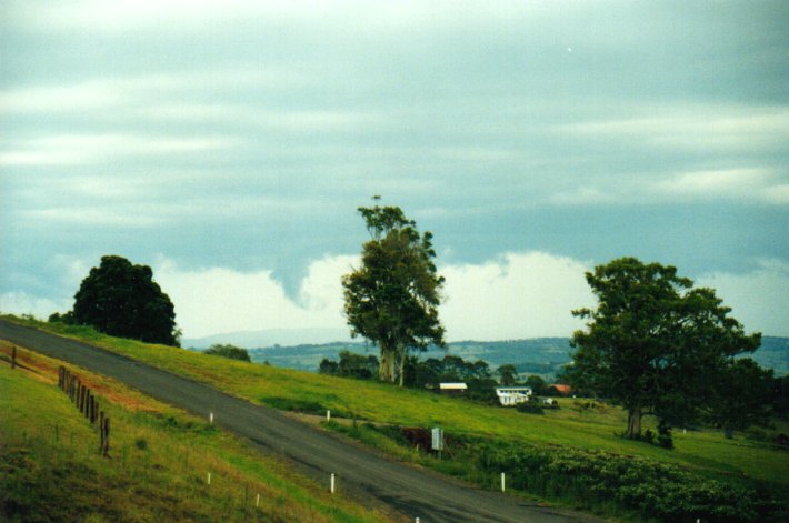 tornadoes funnel_tornado_waterspout : McLeans Ridges, NSW   27 December 2000