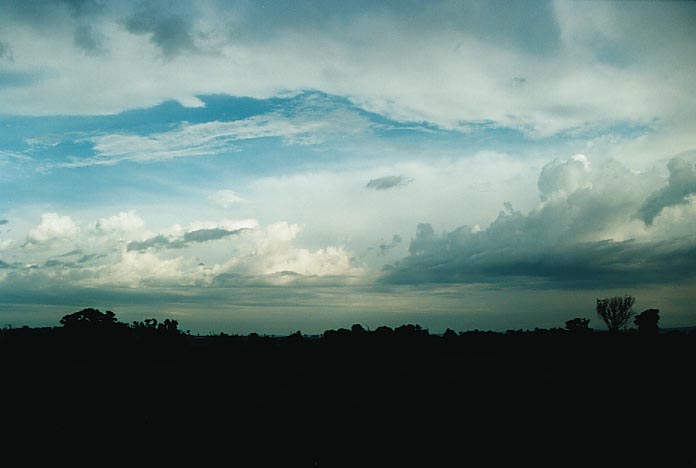 thunderstorm cumulonimbus_calvus : Dunedoo, NSW   8 January 2001