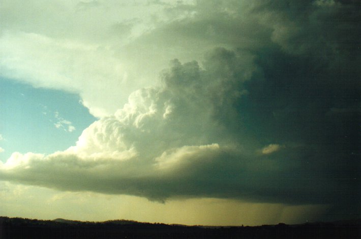 raincascade precipitation_cascade : McKees Hill, NSW   17 January 2001