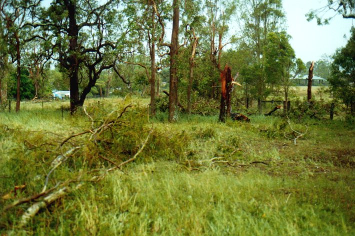disasters storm_damage : Casino, NSW   17 January 2001