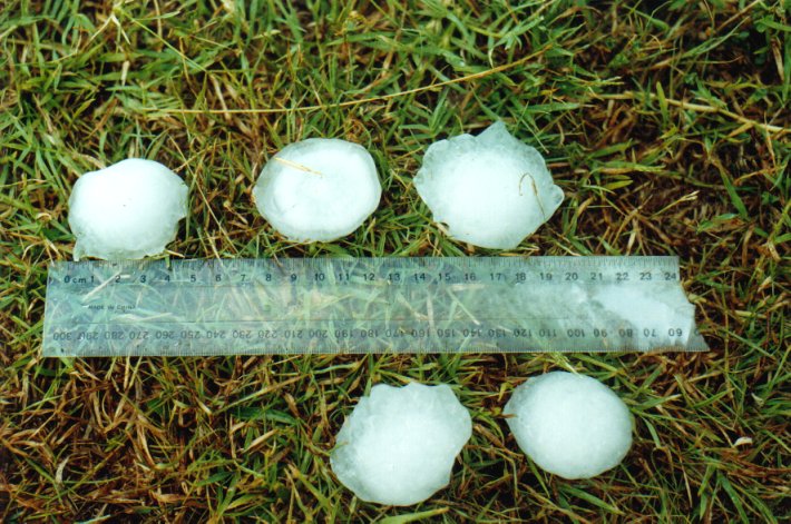 hailstones hail_stones : Casino, NSW   17 January 2001
