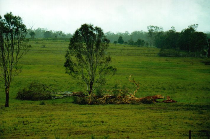 disasters storm_damage : Casino, NSW   19 January 2001