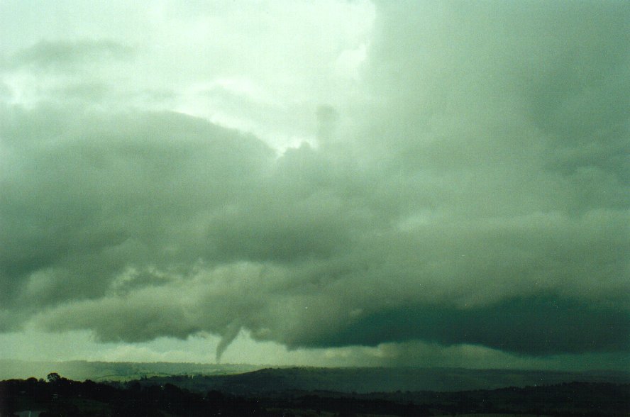 thunderstorm cumulonimbus_calvus : McLeans Ridges, NSW   29 January 2001