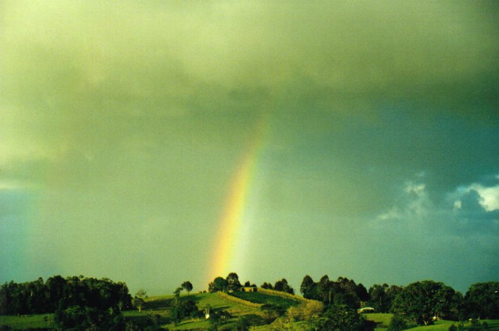 raincascade precipitation_cascade : McLeans Ridges, NSW   18 February 2001