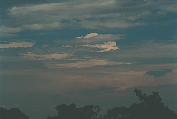 altocumulus altocumulus_cloud : Riverstone, NSW   28 February 2001