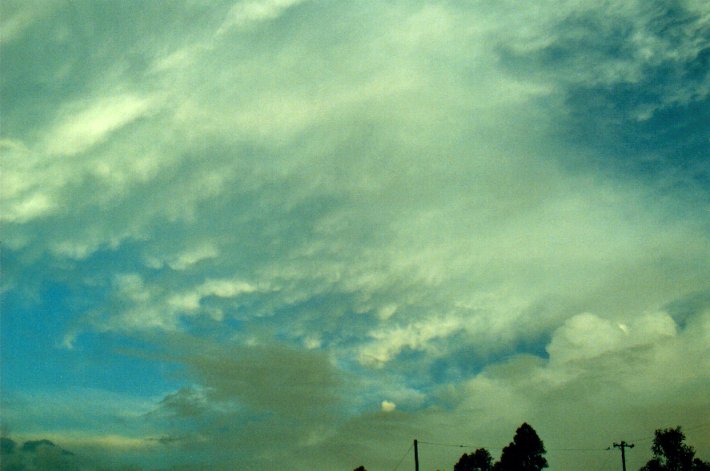 altocumulus altocumulus_cloud : McLeans Ridges, NSW   5 March 2001