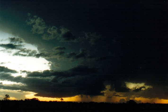 wallcloud thunderstorm_wall_cloud : E of Casino, NSW   6 May 2001