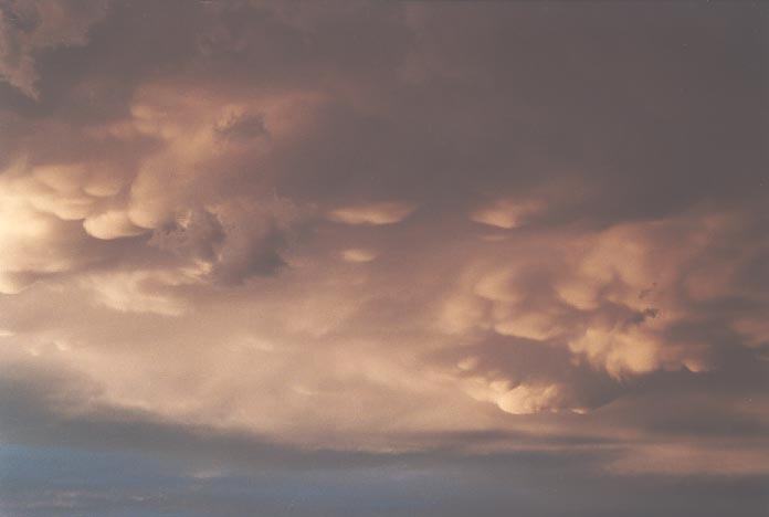 mammatus mammatus_cloud : SE of Lubbock, Texas, USA   26 May 2001