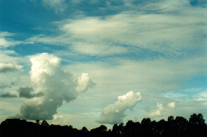 cumulus mediocris : McLeans Ridges, NSW   4 June 2001