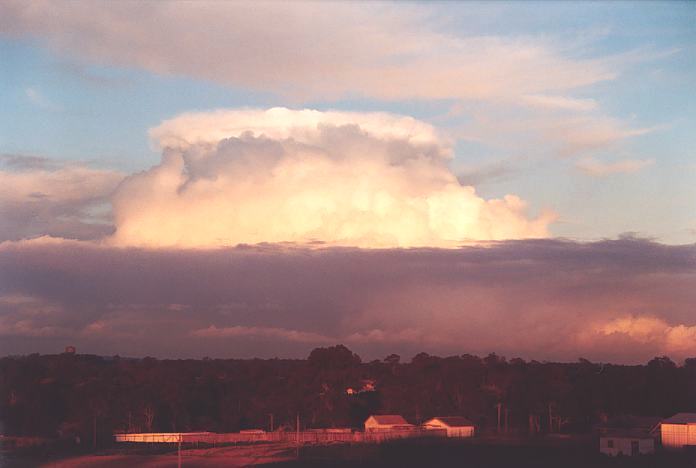 thunderstorm cumulonimbus_calvus : Schofields, NSW   3 July 2001