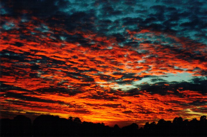 sunset sunset_pictures : McLeans Ridges, NSW   19 July 2001