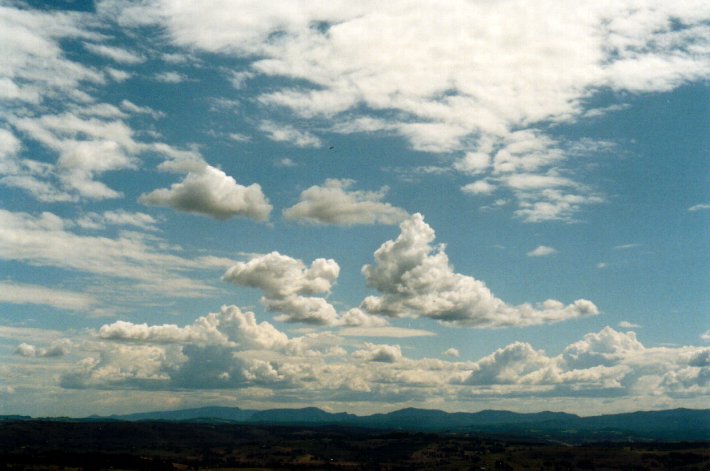 cumulus mediocris : McLeans Ridges, NSW   5 September 2001