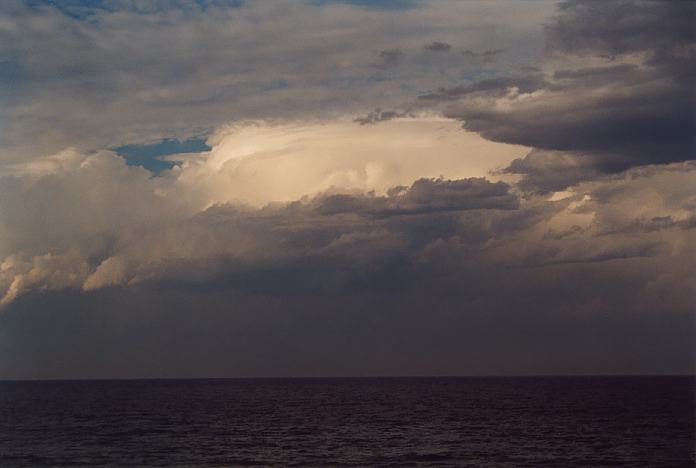 thunderstorm cumulonimbus_calvus : Forster, NSW   25 October 2001