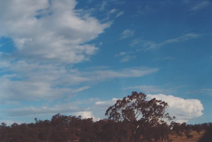altocumulus altocumulus_cloud : Muswellbrook, NSW   18 November 2001