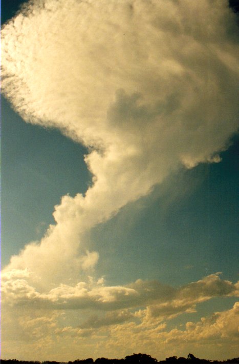 anvil thunderstorm_anvils : Meerschaum, NSW   1 December 2001