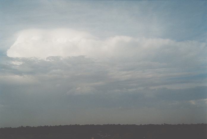 thunderstorm cumulonimbus_incus : Schofields, NSW   19 March 2002