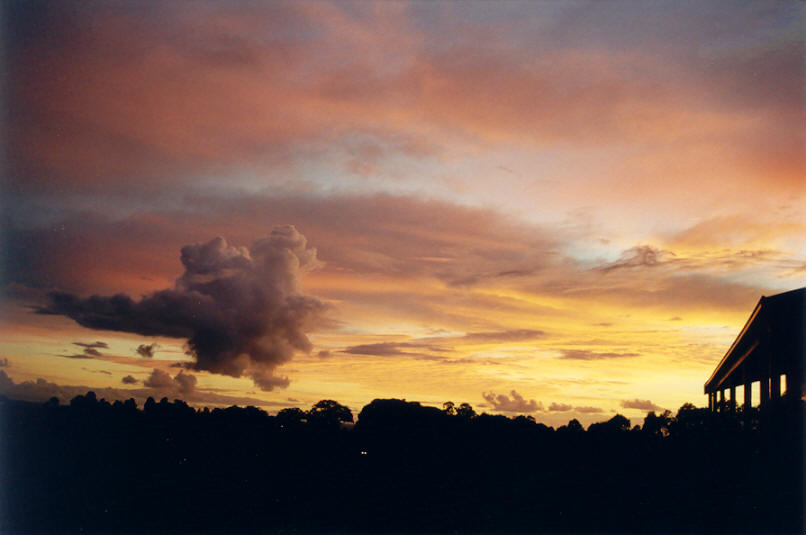 cumulus mediocris : McLeans Ridges, NSW   28 March 2002