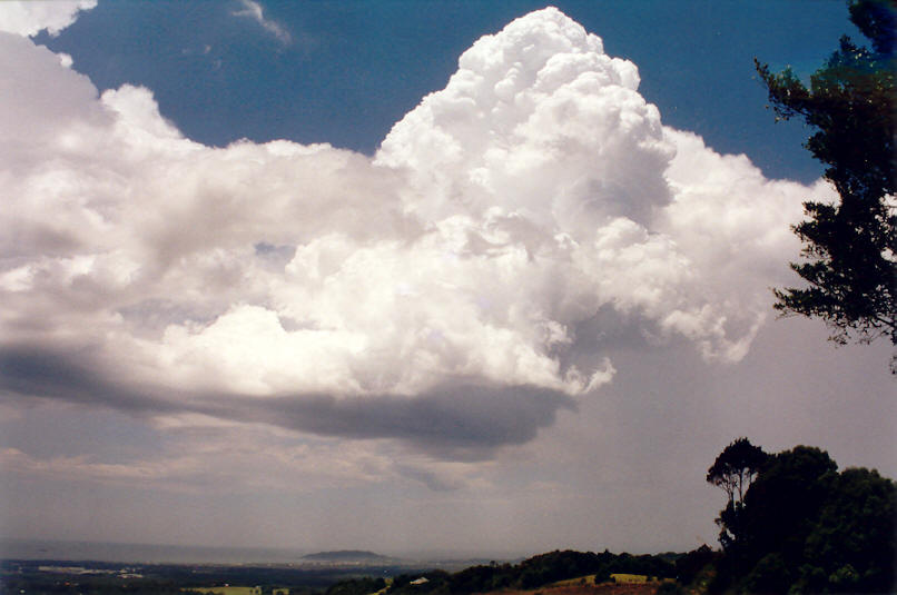 thunderstorm cumulonimbus_calvus : Saint Helena, NSW   30 November 2002