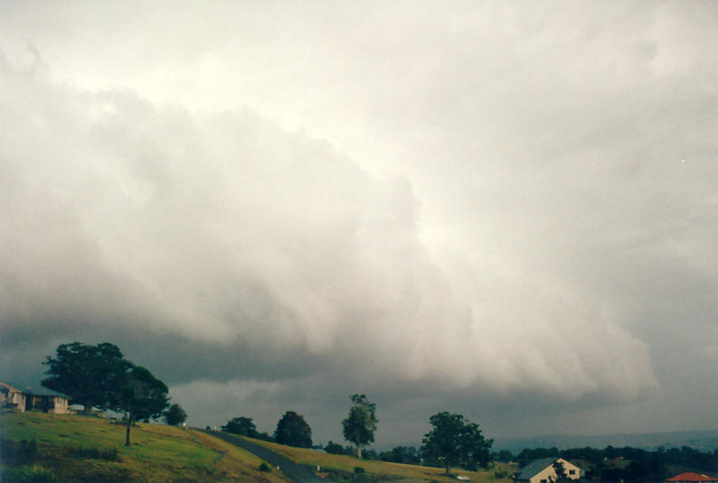 cumulonimbus thunderstorm_base : McLeans Ridges, NSW   10 December 2002