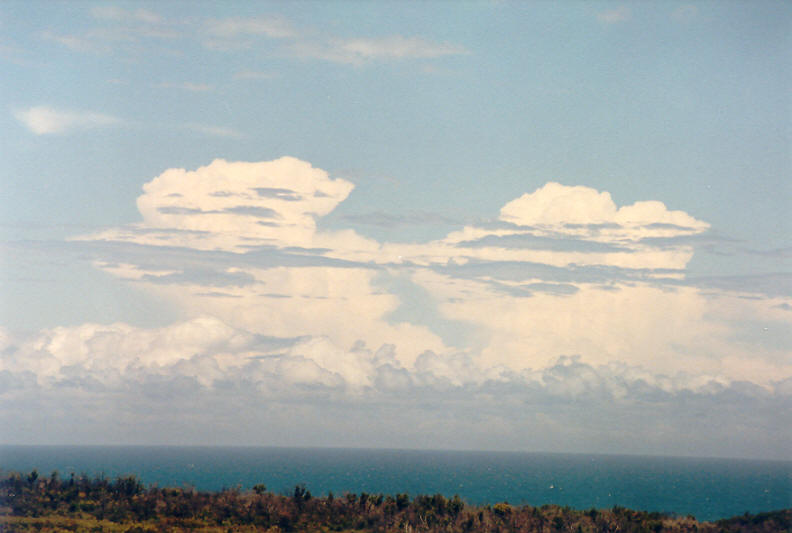 thunderstorm cumulonimbus_calvus : Evans Head, NSW   25 December 2002