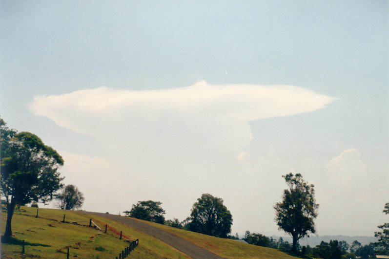 thunderstorm cumulonimbus_incus : McLeans Ridges, NSW   21 January 2003