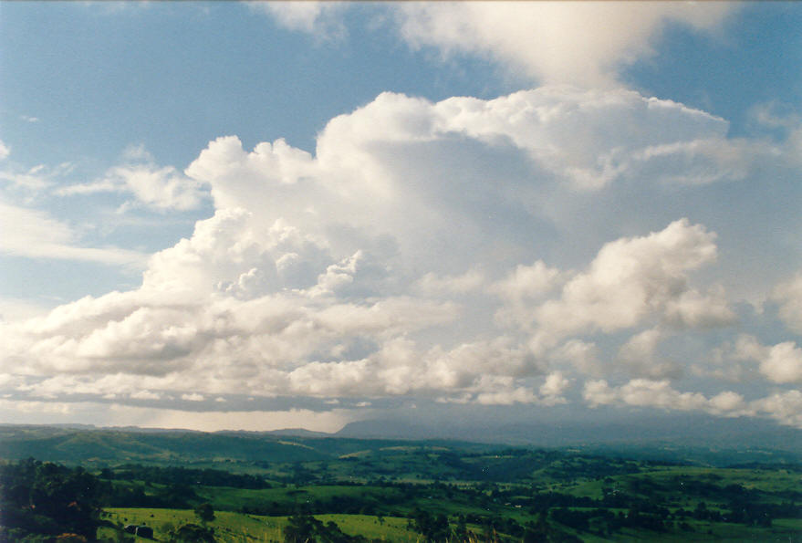 thunderstorm cumulonimbus_incus : McLeans Ridges, NSW   23 February 2003
