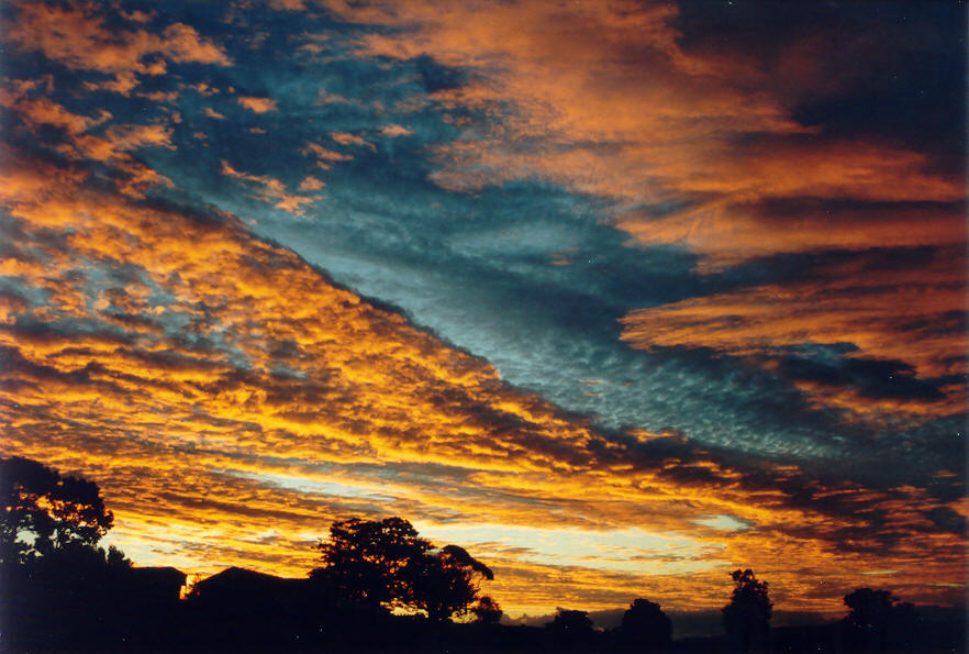 sunset sunset_pictures : McLeans Ridges, NSW   1 March 2003