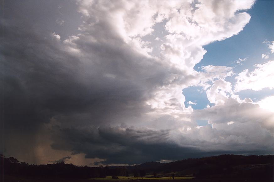 wallcloud thunderstorm_wall_cloud : Ulong, NSW   21 March 2003