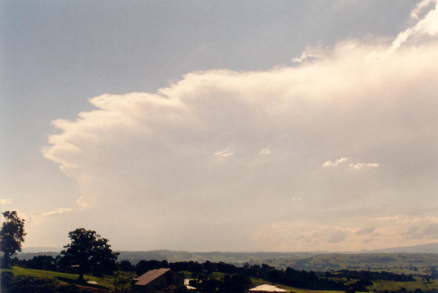 thunderstorm cumulonimbus_incus : McLeans Ridges, NSW   30 March 2003