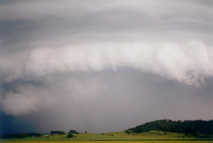 cumulonimbus supercell_thunderstorm : near Coraki, NSW   30 March 2003