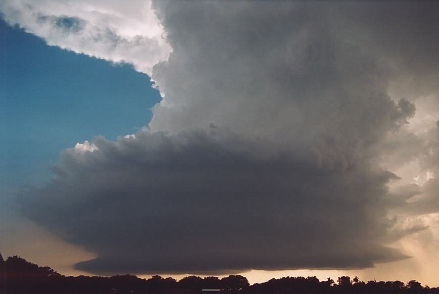 cumulonimbus supercell_thunderstorm : S of Newcastle, Texas, USA   12 June 2003