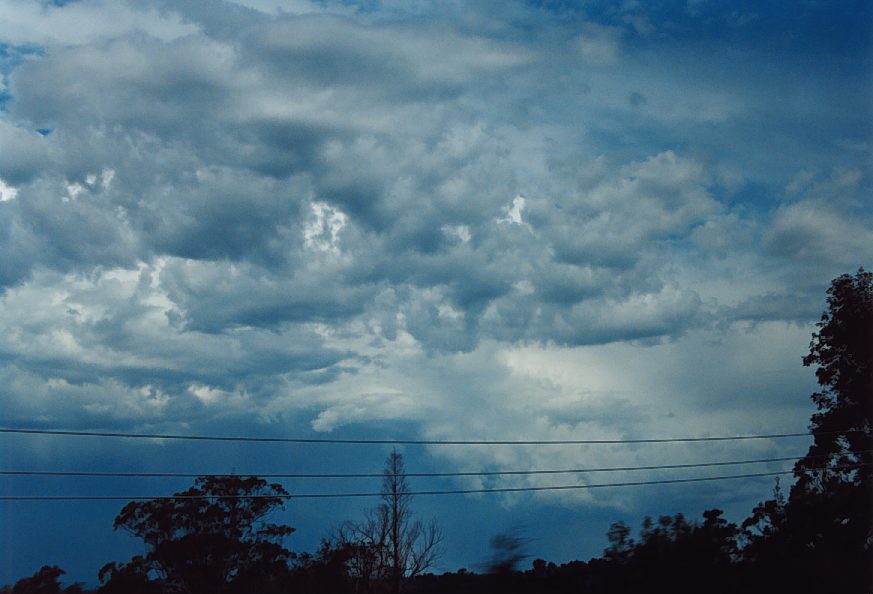 altocumulus altocumulus_cloud : near Blaxland, NSW   30 November 2003