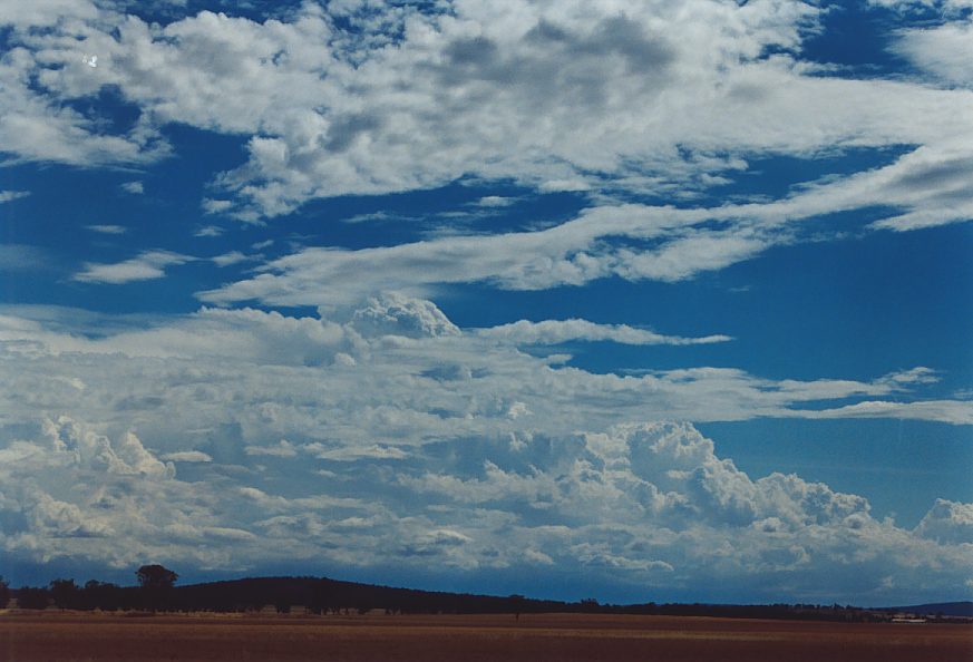 thunderstorm cumulonimbus_calvus : N of Narrandera, NSW   1 December 2003