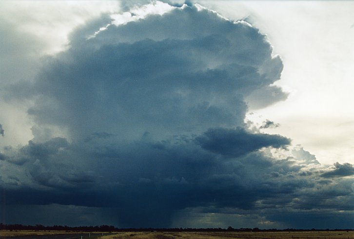 thunderstorm cumulonimbus_incus : E of Hay, NSW   3 December 2003