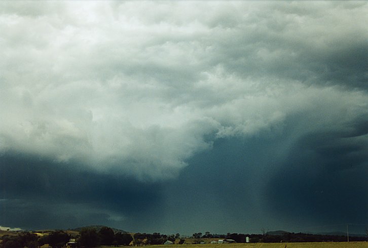 cumulonimbus thunderstorm_base : Molong, NSW   12 December 2003