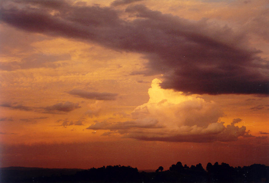 sunset sunset_pictures : McLeans Ridges, NSW   8 January 2004