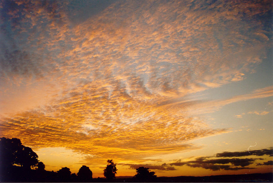 sunset sunset_pictures : McLeans Ridges, NSW   5 May 2004