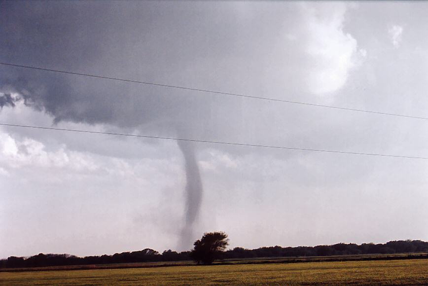cumulonimbus supercell_thunderstorm : Sharon, Kansas, USA   12 May 2004