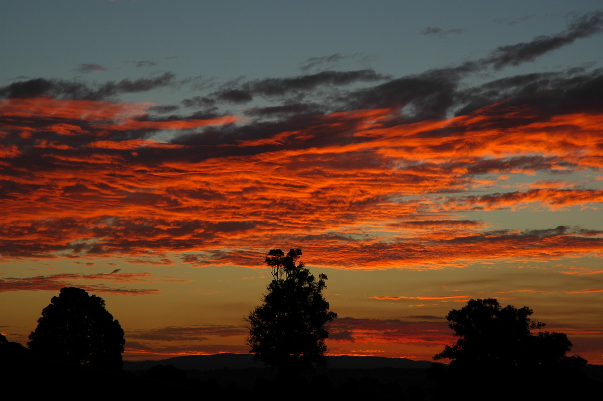 sunset sunset_pictures : McLeans Ridges, NSW   13 July 2004