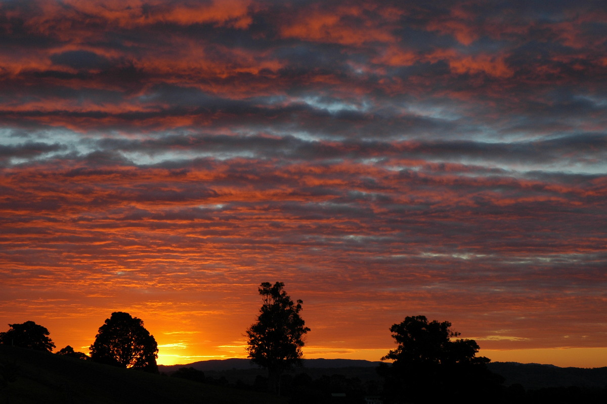 sunset sunset_pictures : McLeans Ridges, NSW   15 August 2004