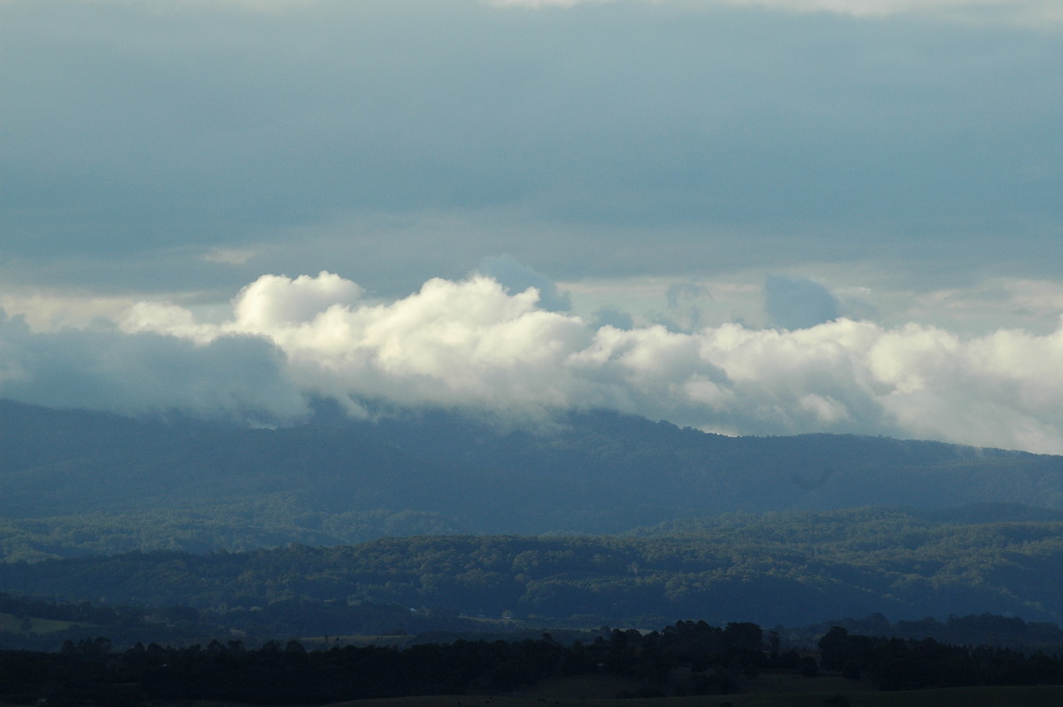 stratus stratus_cloud : McLeans Ridges, NSW   17 August 2004