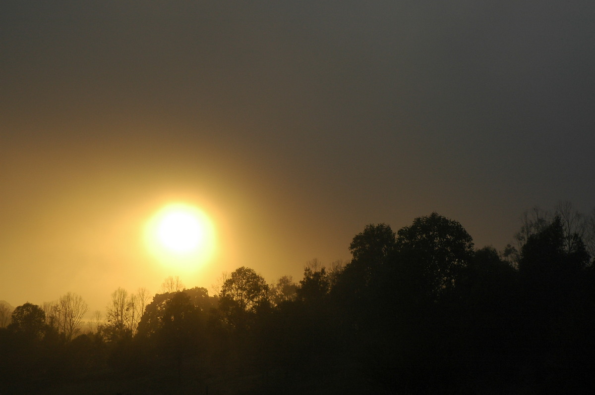 sunrise sunrise_pictures : McLeans Ridges, NSW   25 August 2004