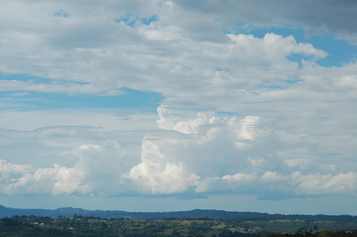 cumulus congestus : McLeans Ridges, NSW   21 October 2004