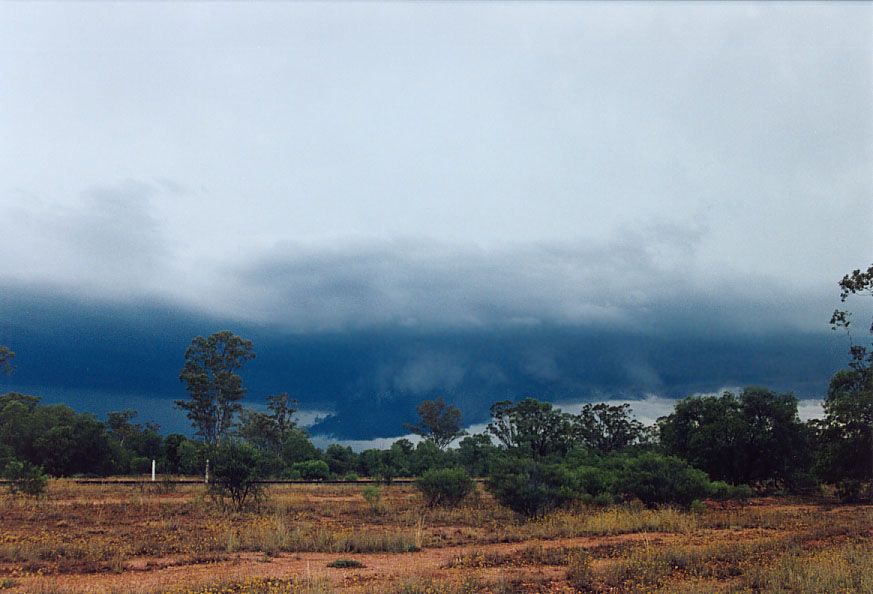wallcloud thunderstorm_wall_cloud : 20km W of Nyngan, NSW   7 December 2004