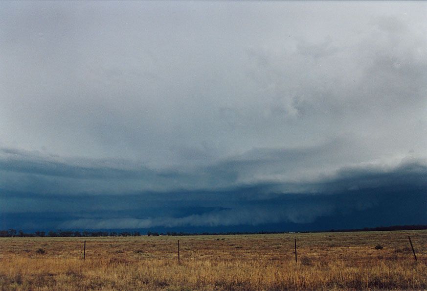 shelfcloud shelf_cloud : 20km W of Nyngan, NSW   7 December 2004