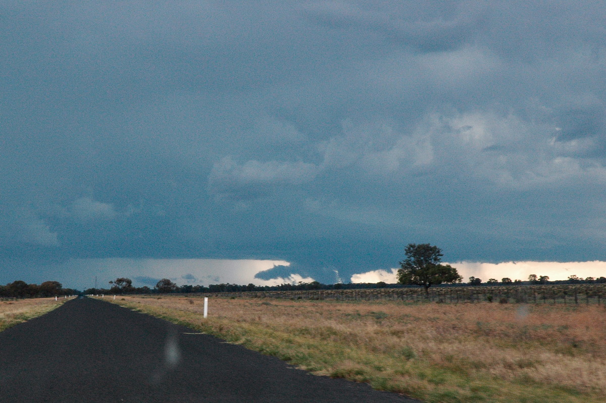 wallcloud thunderstorm_wall_cloud : E of Quambone, NSW   7 December 2004